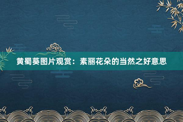 黄蜀葵图片观赏：素丽花朵的当然之好意思