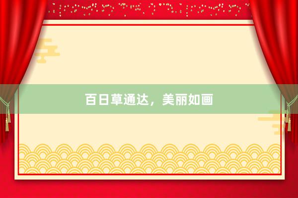 百日草通达，美丽如画