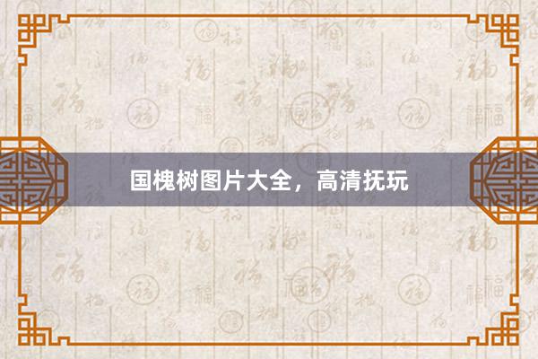 国槐树图片大全，高清抚玩